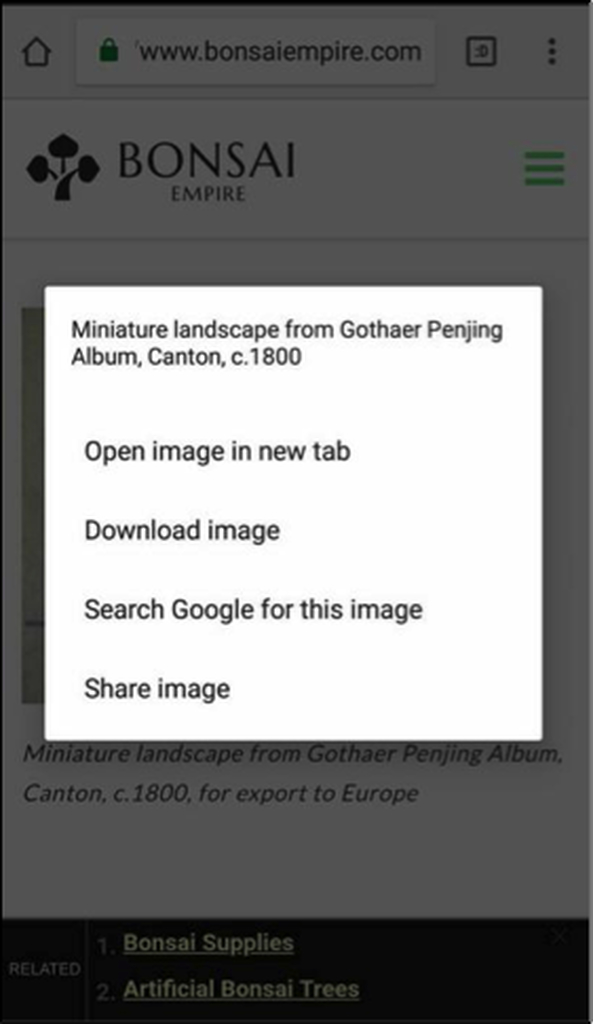 Reverse photo search on any Android device