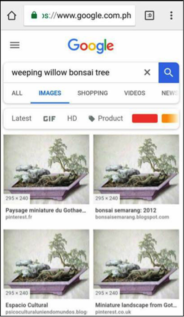 Image search result with different resolutions