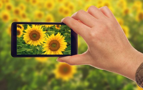 Best Android Camera Apps