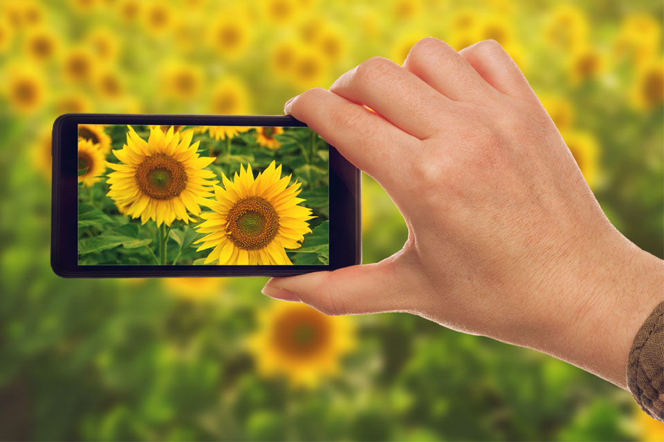 Best Android Camera Apps