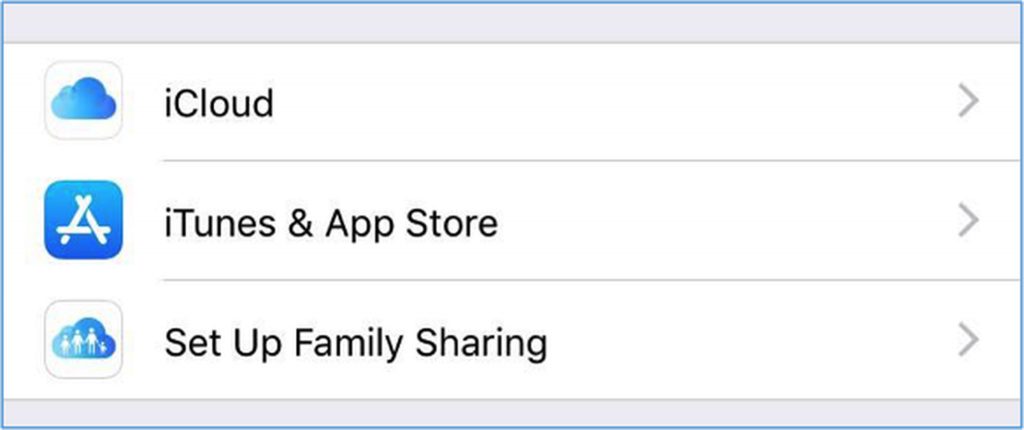 iCloud and App Store settings