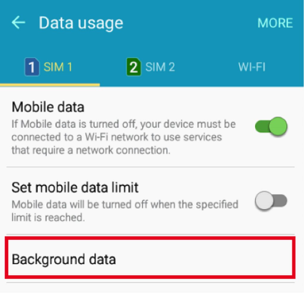 Data Usage, while Mobile Data is on, tap Background Data