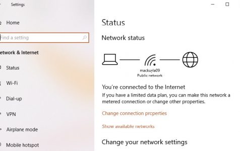 Windows 10/11 Network Status