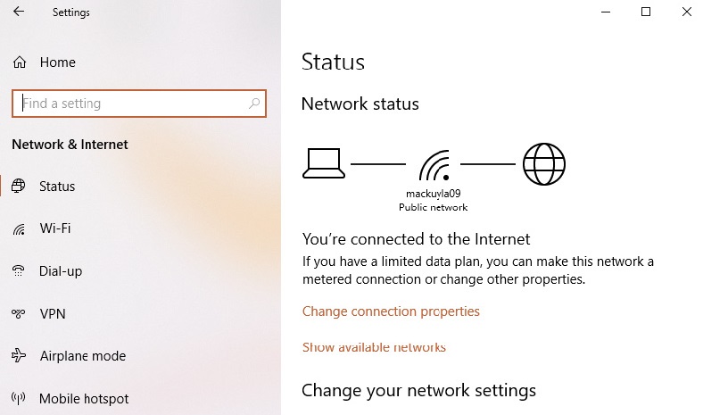 Windows 10/11 Network Status