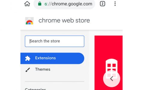 Google Chrome Extension Feature