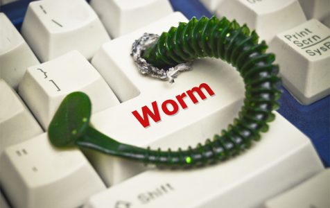 Computer Worm Attacking Computer System