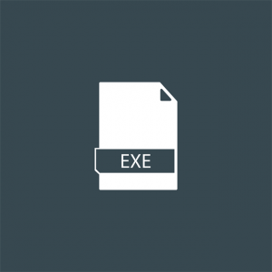 Exe File