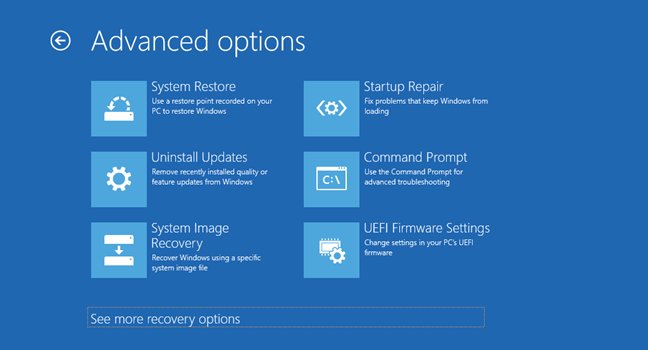 Windows Advanced Options