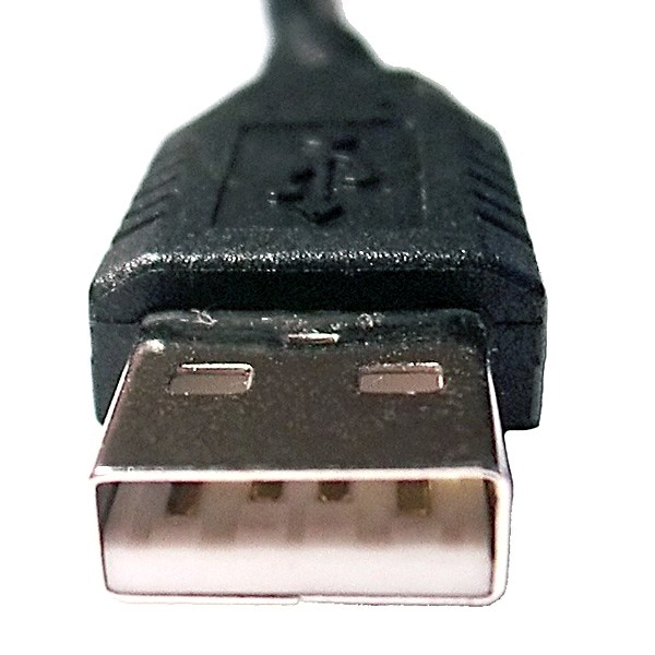 USB Male Plug Type A