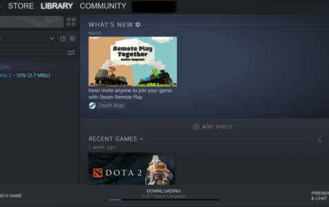 Steam Games Library