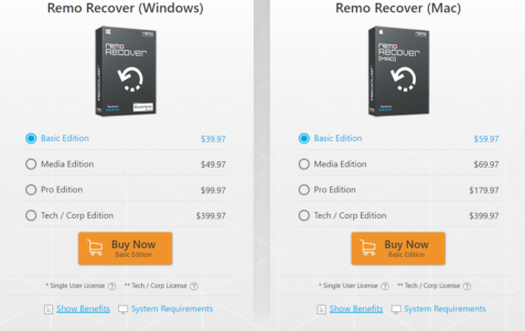How much Does Remo Recover Cost? 